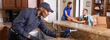 Real Estate Pest Inspections in Vienna Bend, LA